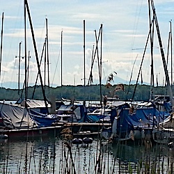 Geschlossen: Sommerferien