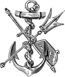 Seestern