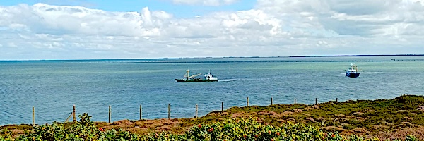 Himmel See Strand